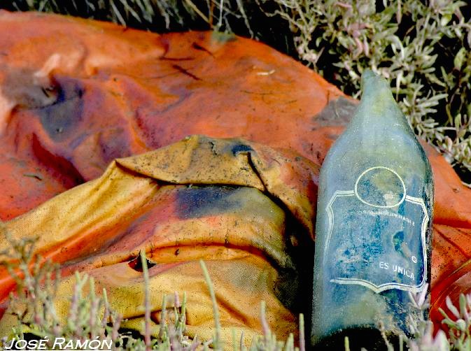 Foto de Barbate (Cádiz), España