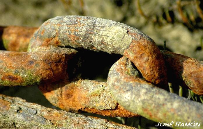 Foto de Barbate (Cádiz), España
