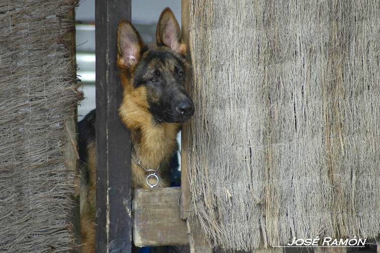 Foto de Vejer de la Frontera (Cádiz), España