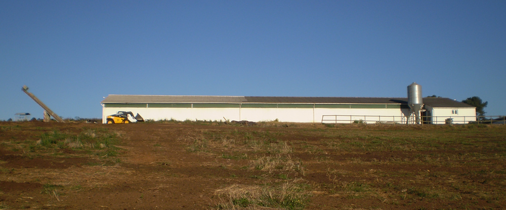 Foto de Bergondo (A Coruña), España