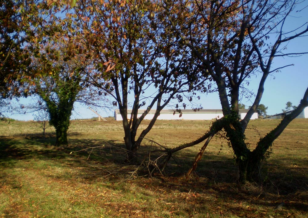 Foto de Bergondo (A Coruña), España