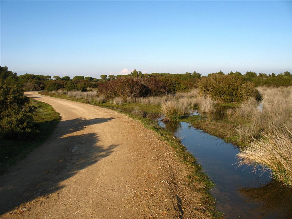 Foto de Puerto Real (Cádiz), España