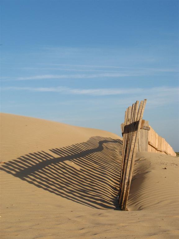 Foto de San Fernando (Cádiz), España