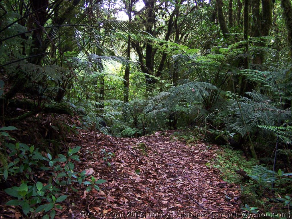 Foto de Tegucigalpa, Honduras