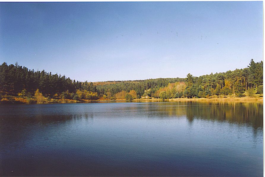 Foto de Pardiñas - Guitiriz (Lugo), España