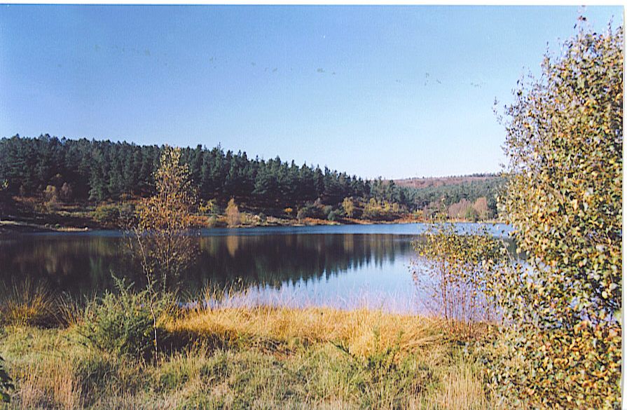 Foto de Pardiñas - Guitiriz (Lugo), España