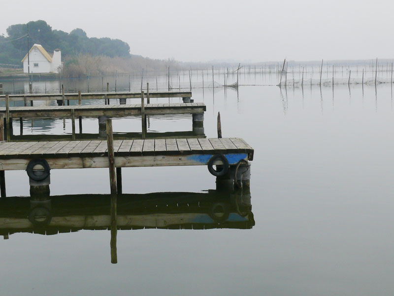Foto de Valencia - Albufera (València), España