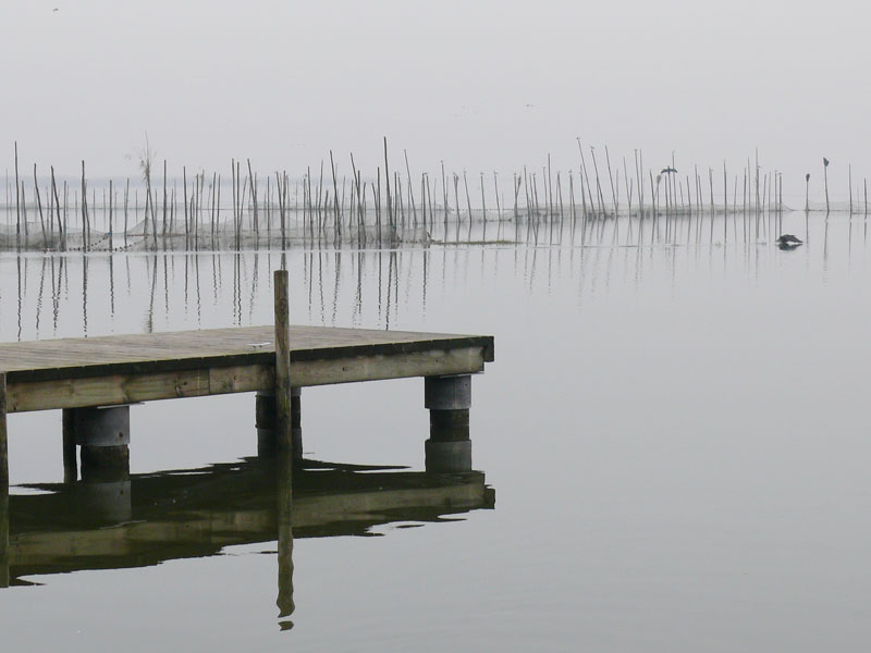 Foto de Valencia - Albufera (València), España