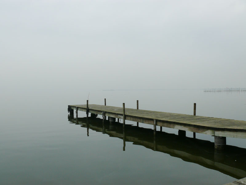 Foto de Valencia - Albufera (València), España