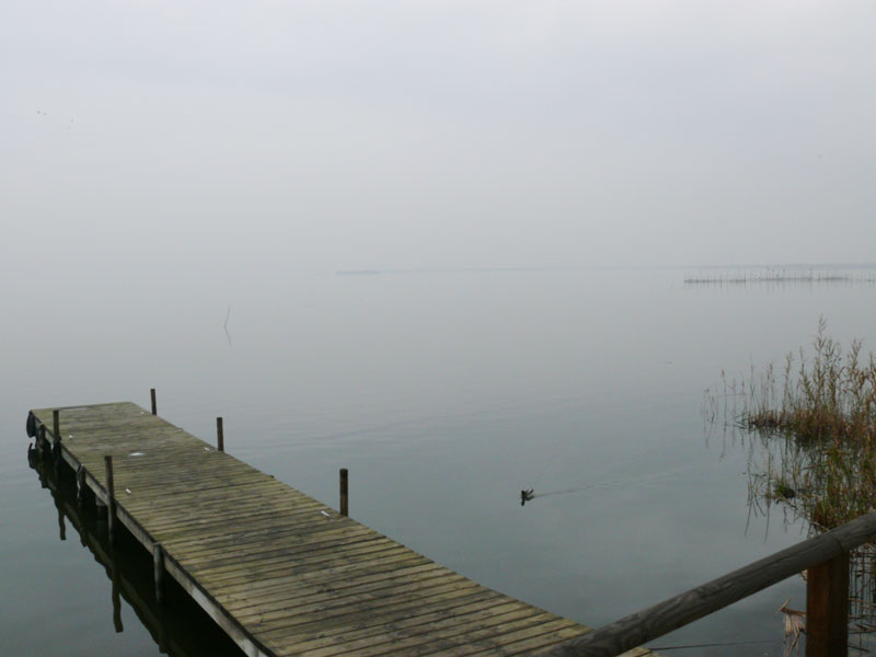 Foto de Valencia - Albufera (València), España