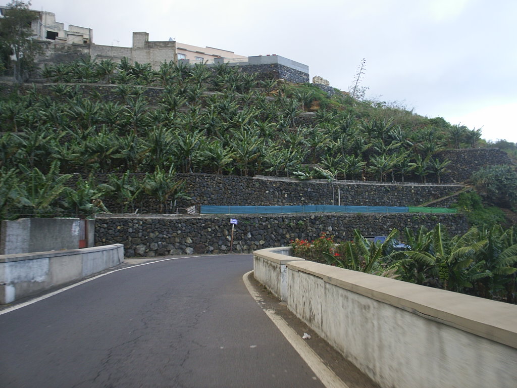 Foto de Los Realejos - Tenerife (Santa Cruz de Tenerife), España