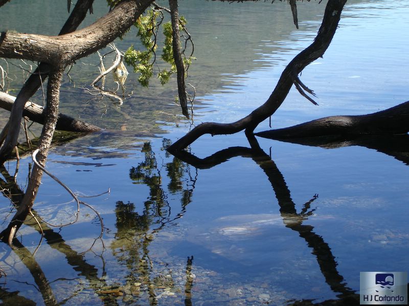 Foto de San Carlos de Bariloche ( Rio Negro ), Argentina