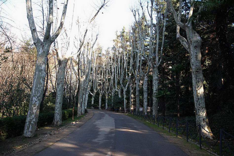 Foto de Madrid (Comunidad de Madrid), España