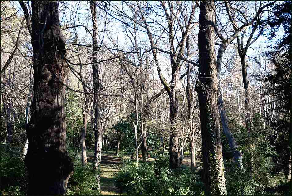 Foto de Madrid (Comunidad de Madrid), España