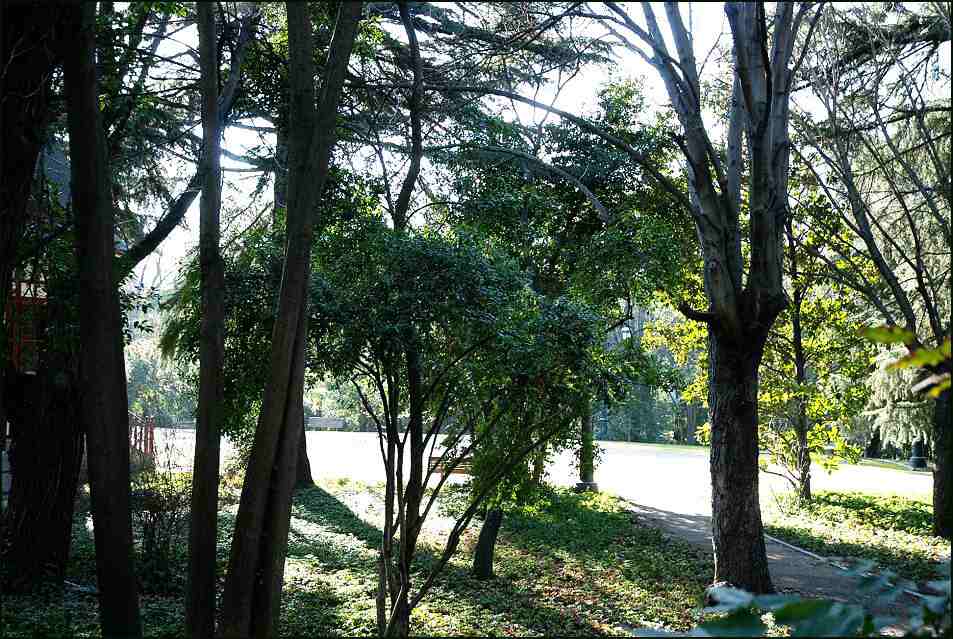 Foto de Madrid (Comunidad de Madrid), España