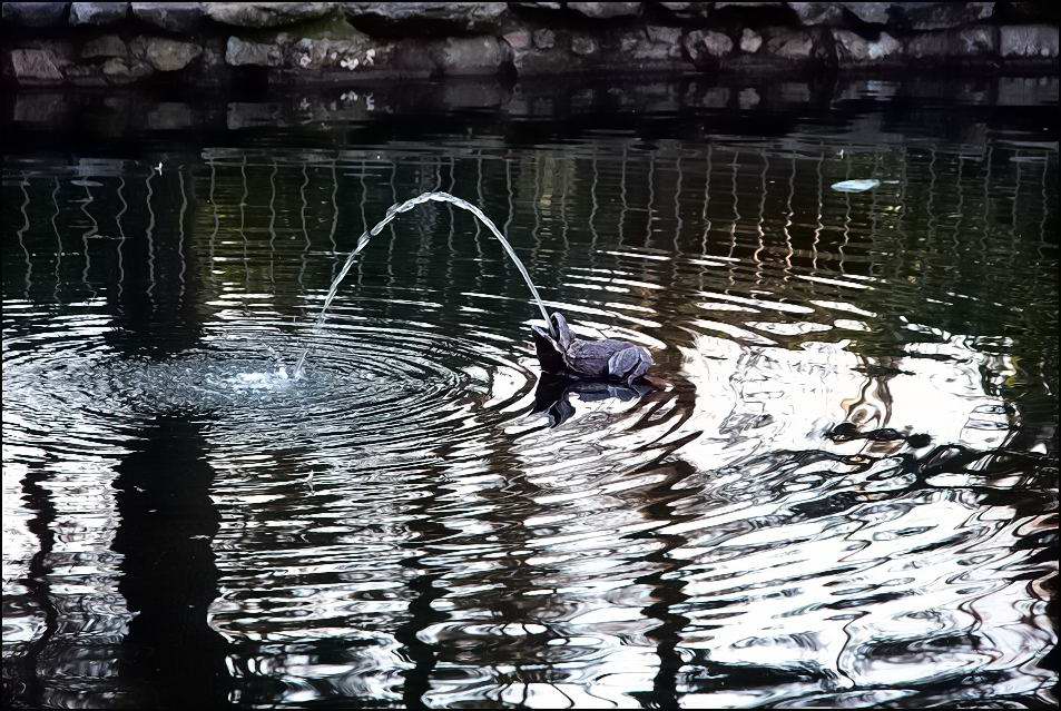 Foto de Madrid (Comunidad de Madrid), España