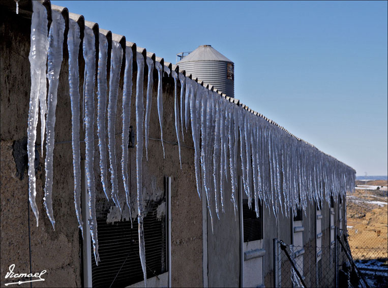 Foto de Alconchel de Ariza (Zaragoza), España