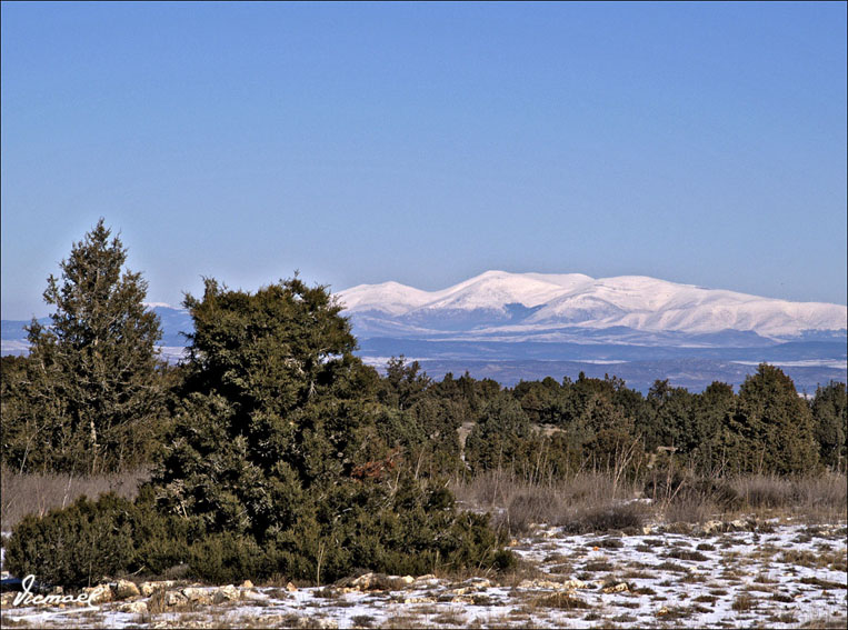 Foto de Alconchel de Ariza (Zaragoza), España