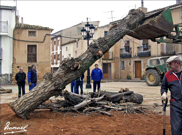 Foto de Alconchel de Ariza (Zaragoza), España