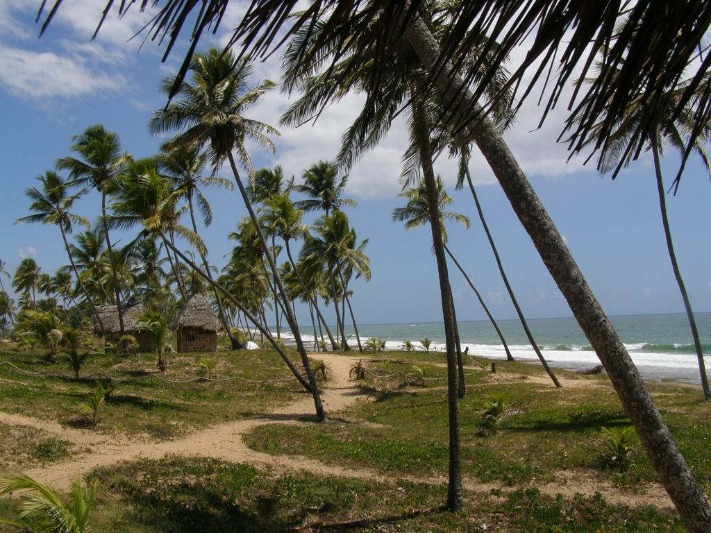 Foto de Arembepe (Salvador de bahia), Brasil
