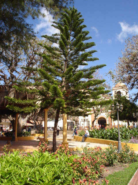 Foto de Valle de Ángeles, Honduras