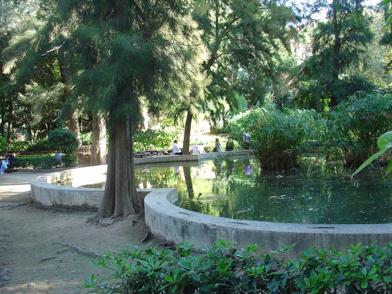 Foto de Valencia (València), España