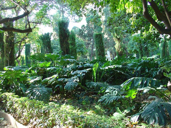 Foto de Valencia (València), España