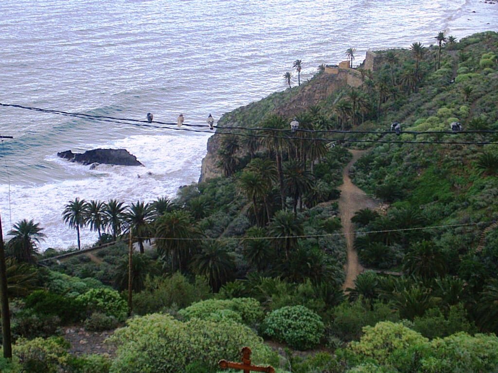 Foto de Los Realejos (Santa Cruz de Tenerife), España