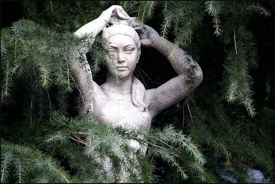 Foto de Madrid (Comunidad de Madrid), España