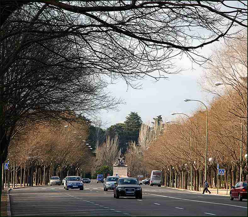Foto de Madrid (Comunidad de Madrid), España
