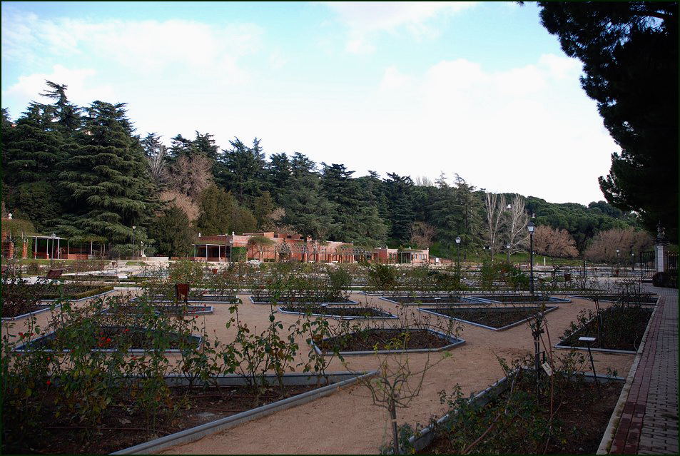 Foto de Madrid (Comunidad de Madrid), España