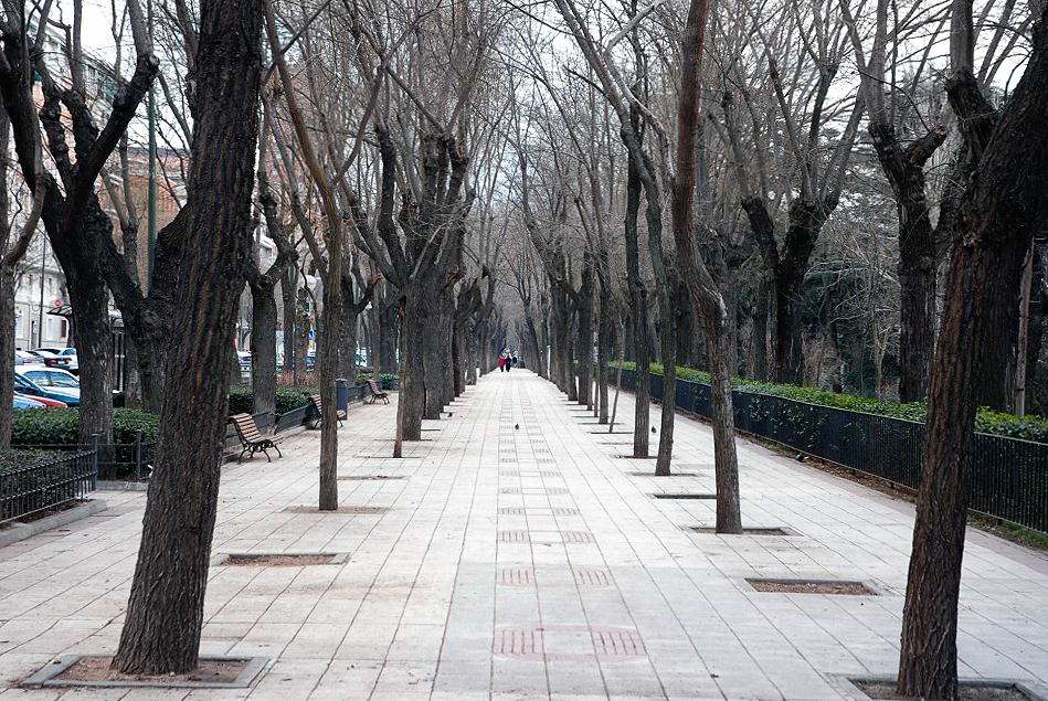 Foto de Madrid (Comunidad de Madrid), España