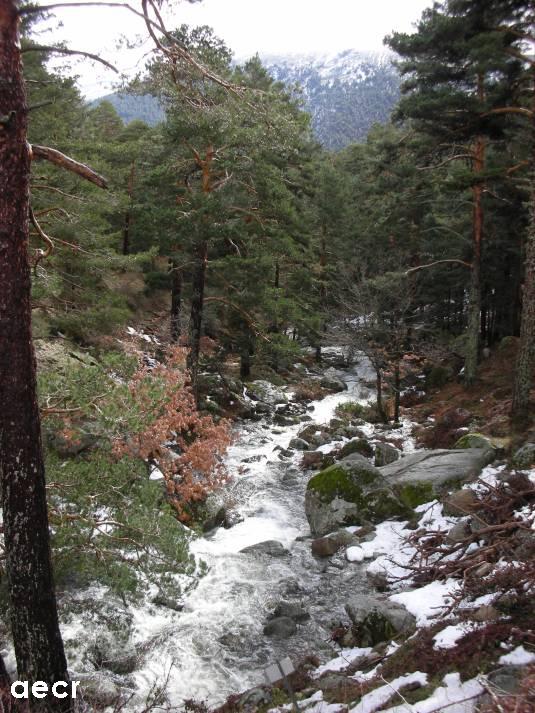 Foto de Navacerrada (Madrid), España