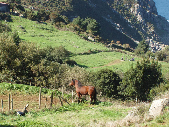 Foto de San Andres de Teixido (A Coruña), España