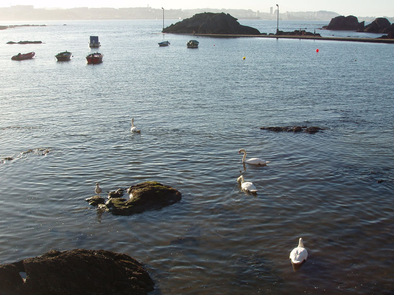 Foto de Santa Cruz - Oleiros (A Coruña), España
