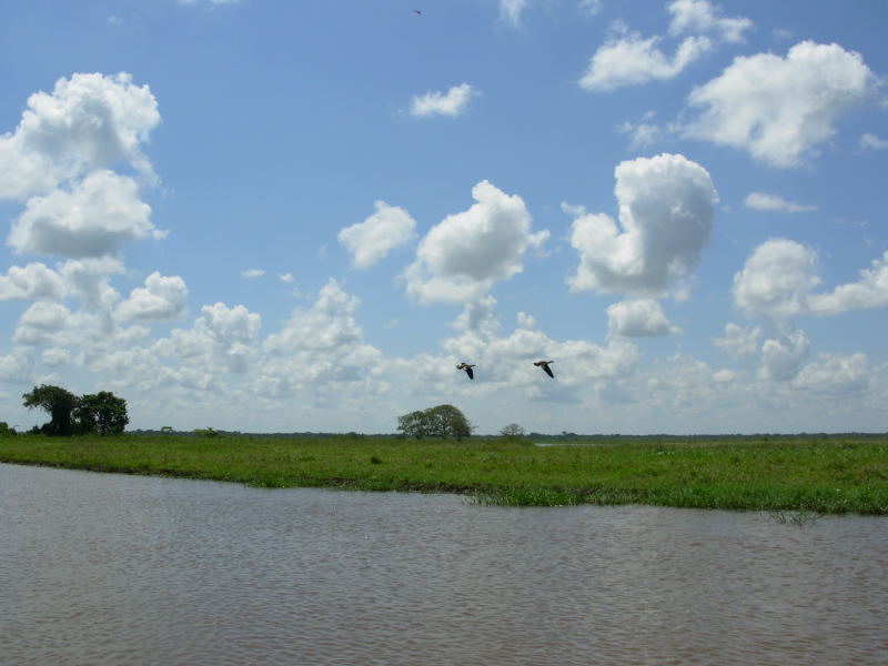 Foto de Apure, Venezuela
