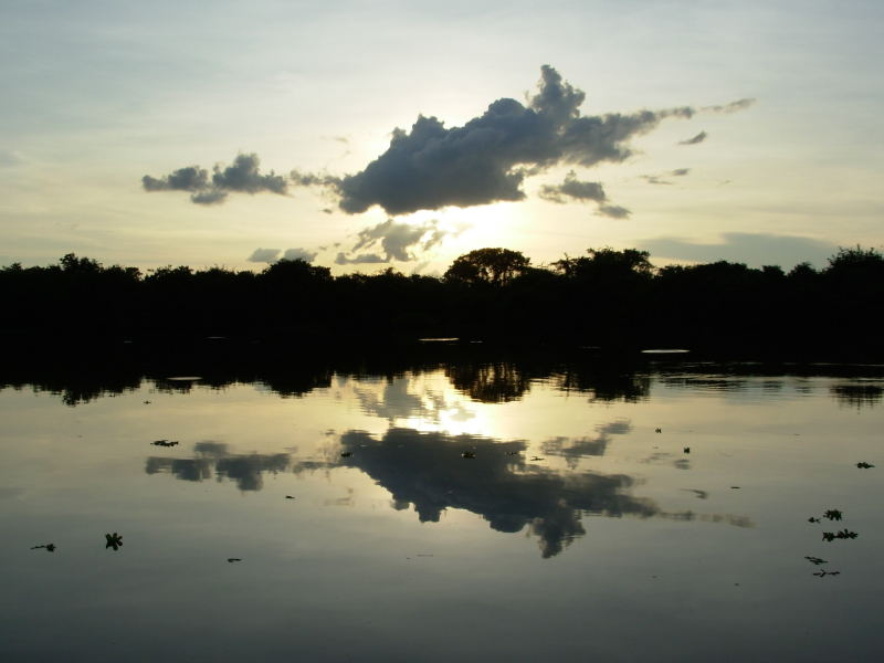 Foto de Apure, Venezuela