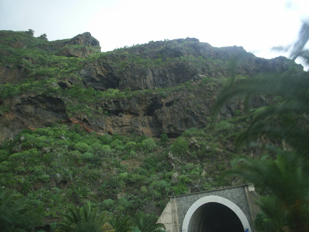 Foto de Los Realejos - Tenerife (Santa Cruz de Tenerife), España