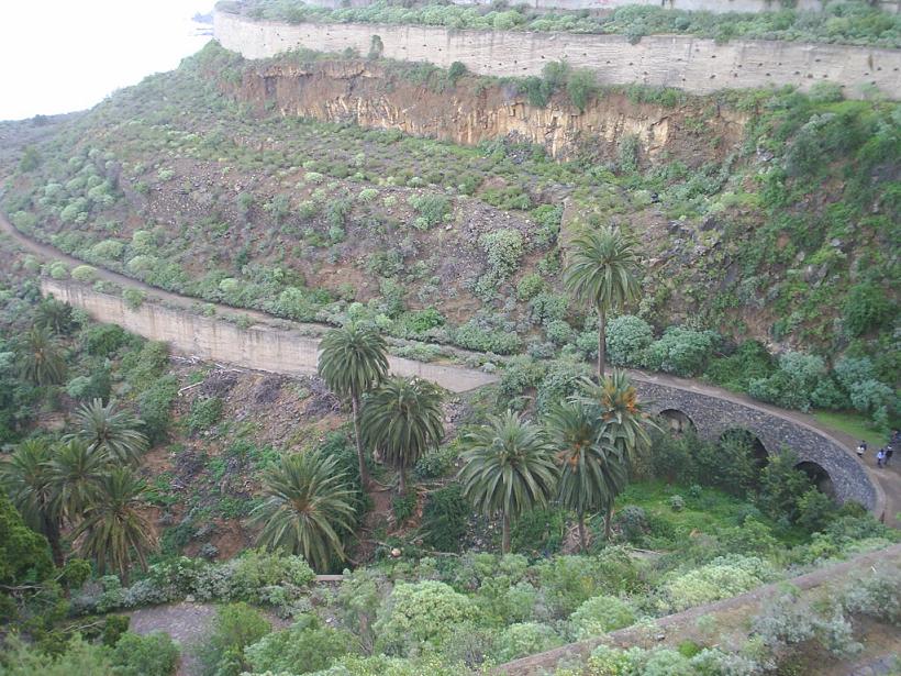 Foto de Los Realejos - Tenerife (Santa Cruz de Tenerife), España