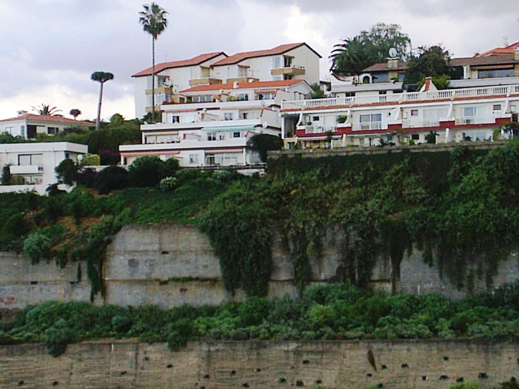 Foto de Los Realejos - Tenerife (Santa Cruz de Tenerife), España