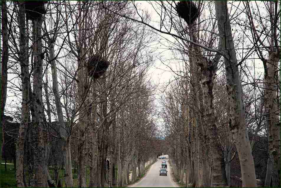 Foto de Madrid (Comunidad de Madrid), España