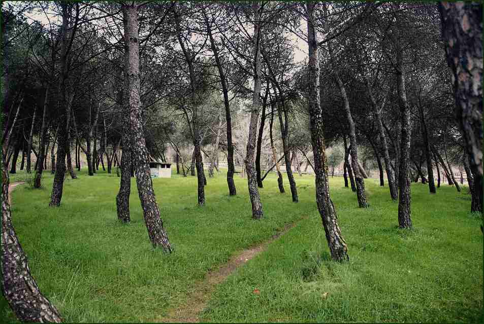 Foto de Madrid (Comunidad de Madrid), España