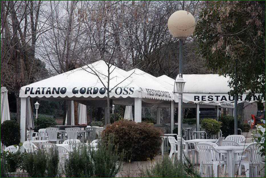 Foto de Madrid (Comunidad de Madrid), España