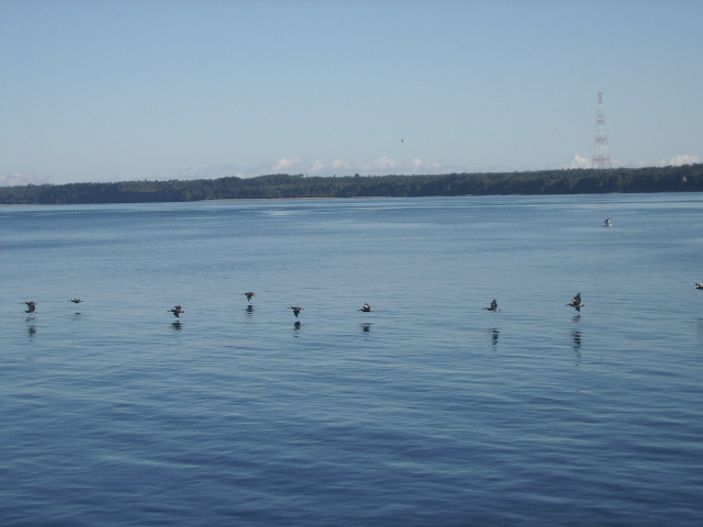 Foto de Chiloe, Chile