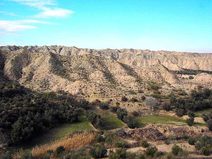 Foto de Bacor-Olivar (Granada), España