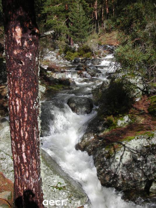 Foto de Navacerrada (Madrid), España