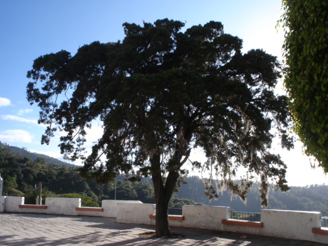 Foto de Santa Lucía, Honduras