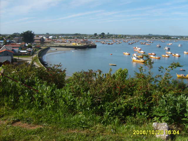 Foto de Bahia de Carelmapu, Chile