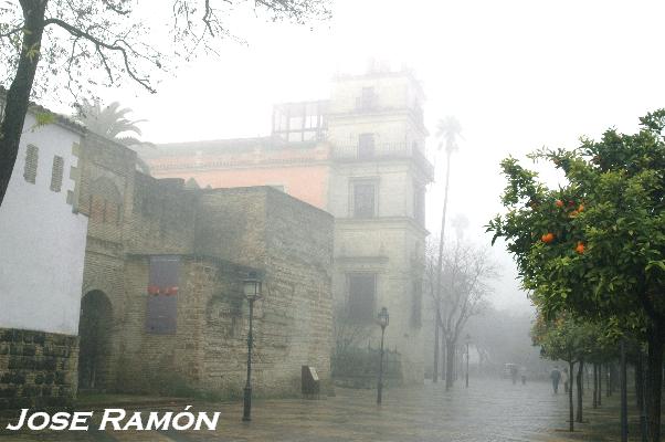 Foto de Jerez de la Frontera (Cádiz), España