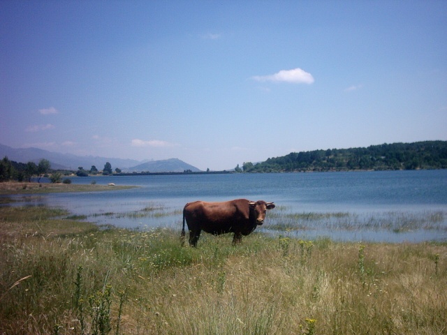 Foto de Guadarrama (Madrid), España